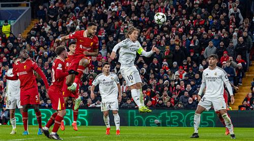 Sporting Bet Guide: How to Bet on Sports Safely