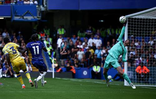 Ultimate Guide to 32 Bet Sport Betting